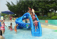 Kids Cobra Water Slide Fiberglass Swimming Pool Snake Water Slide
