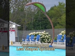 أجهزة المنتزه المائي OEM، كاكتوس رذاذ المياه سبلاش باد ألعاب المسبح